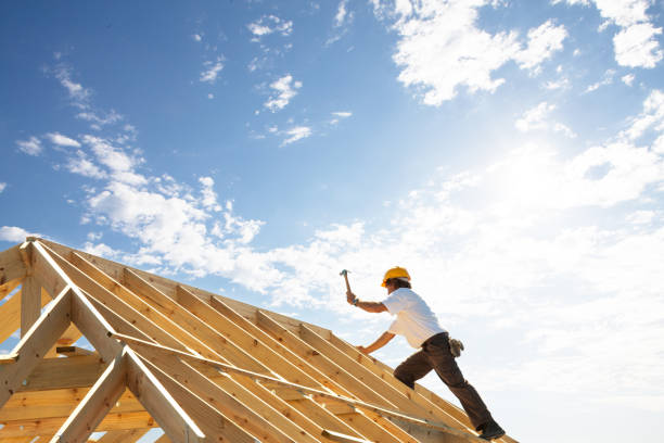 Best Roof Maintenance and Cleaning  in Page, AZ